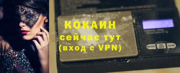 трава Бородино