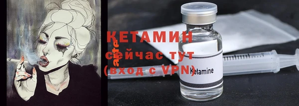 трава Бородино
