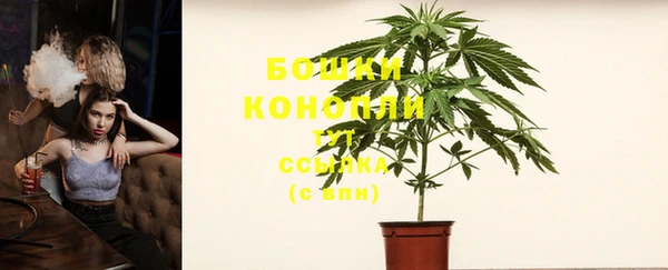 молекула духа Богданович