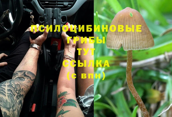 твердый Богородск