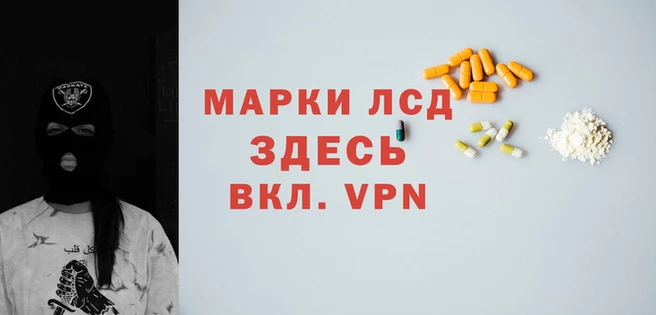 молекула духа Богданович