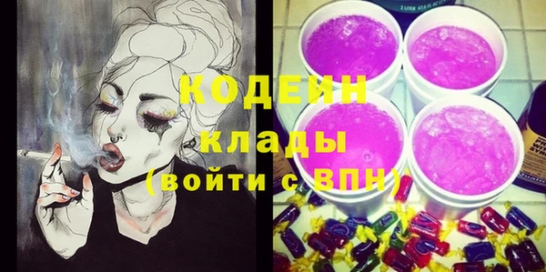 молекула духа Богданович
