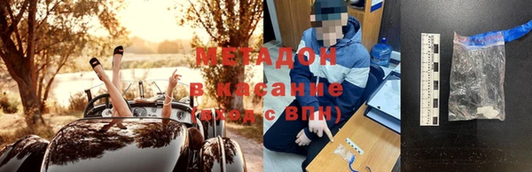 молекула духа Богданович