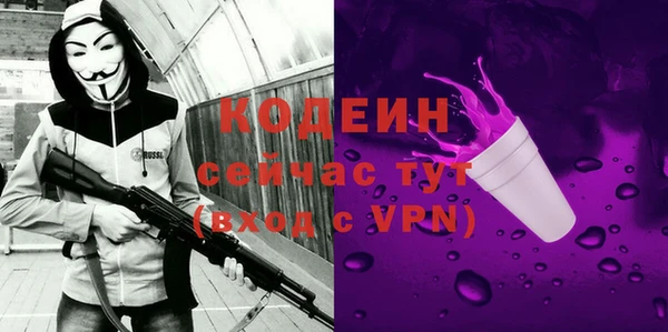 молекула духа Богданович
