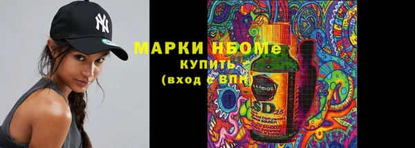 молекула духа Богданович